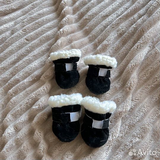 Ботинки для маленькой собаки