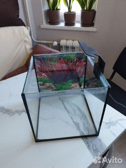 Аквариум