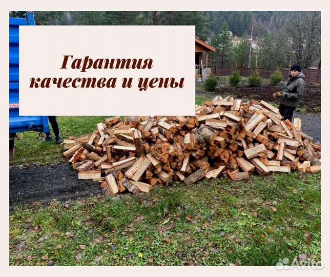 Дрова сухие березовые