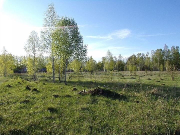 Участок 8 сот. (ИЖС)