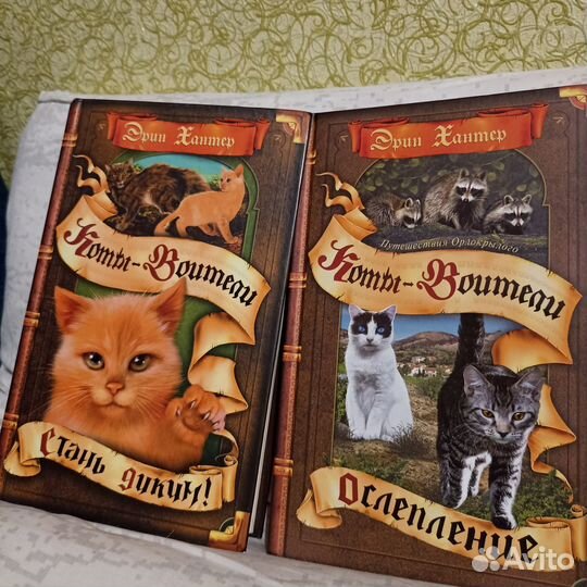 Книги. Коты воители, adventure time, атака титанов