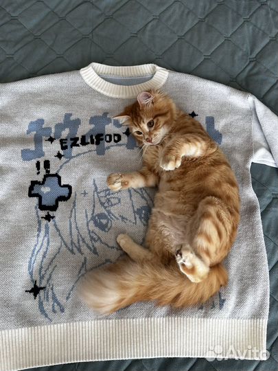 Свитер аниме