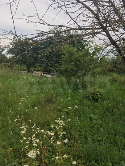 Участок 30 сот. (ИЖС)