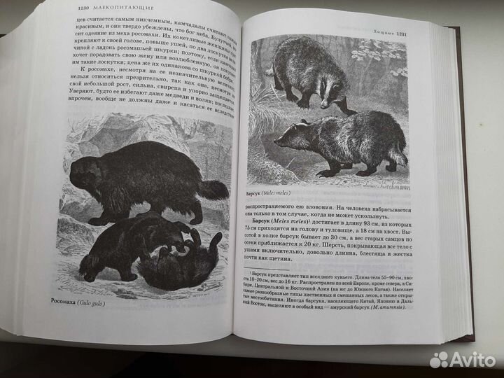 Книга Альфред Брем Жизнь животных