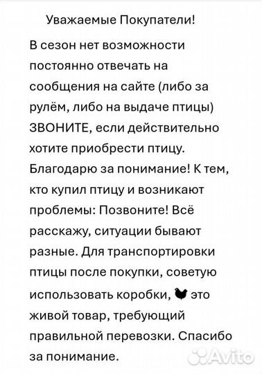Куры несушки,молодки, петухи