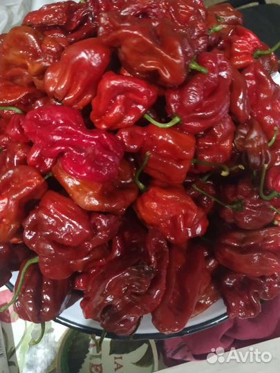 Семена сверхострых перцев и не только