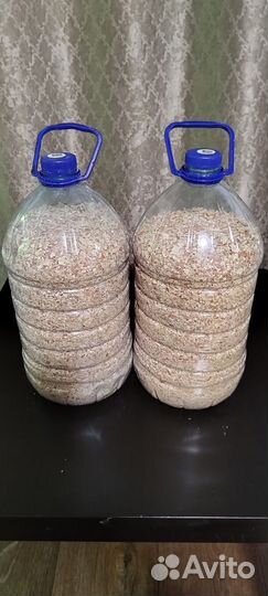 Яичная скорлупа