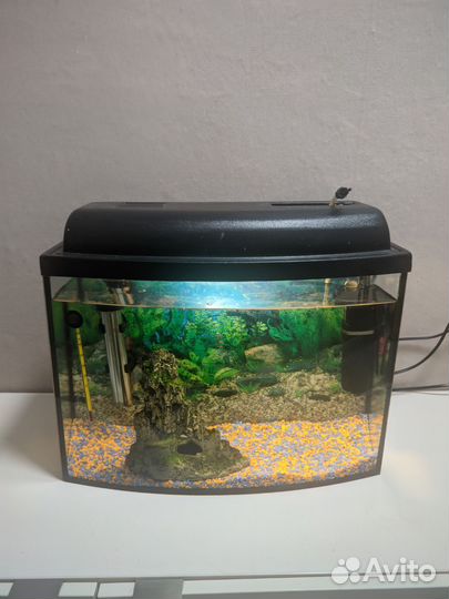 Аквариум в комплекте