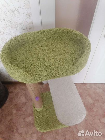 Когтеточка для кошек