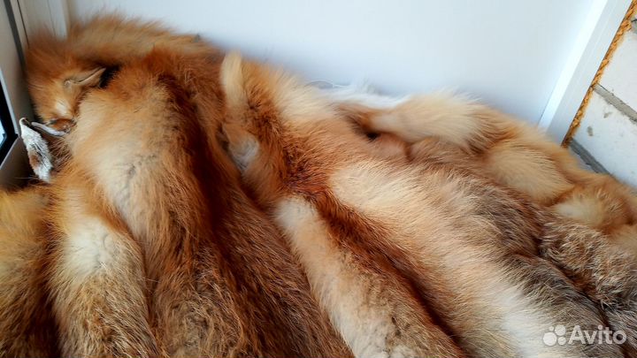 Мех лисы чулком