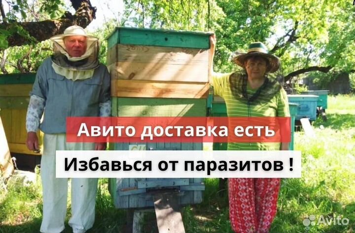 Противо гельминтый сбор