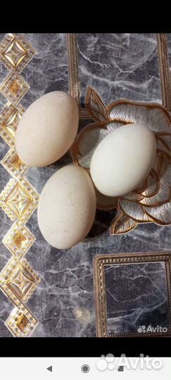 Яйца на еду