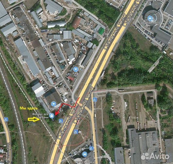 Панно из можжевельника 40*40 см