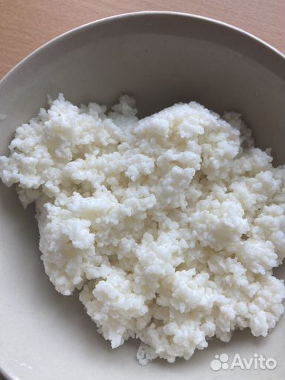 Тибетский молочный гриб