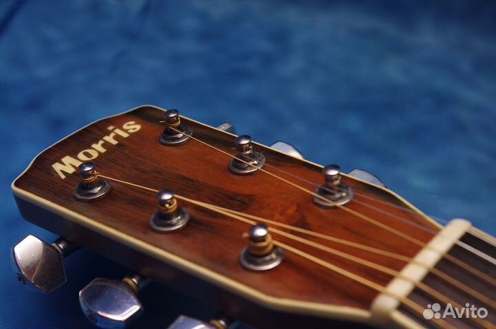Акустическая гитара Morris M-50. Japan