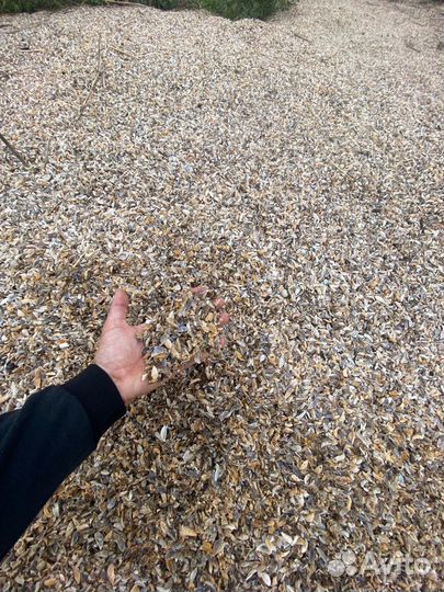 Ракушка кормовая в мешках