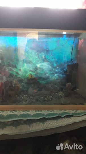 Аквариум