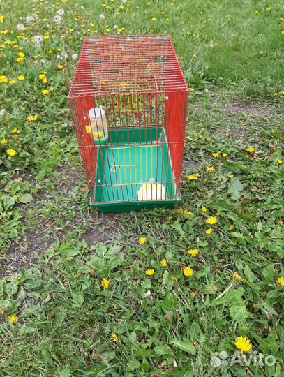 Клетка для птиц, бу