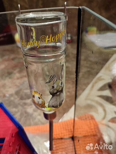 Стеклянная поилка для грызуна