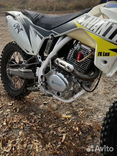 Avantis FX 250 Lux