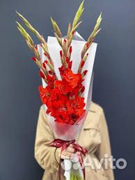 Букет из гладиоусов