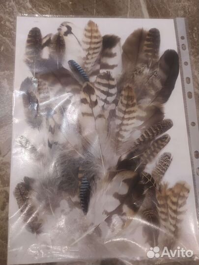 Перья птиц, наборы, творчество, ловцы снов