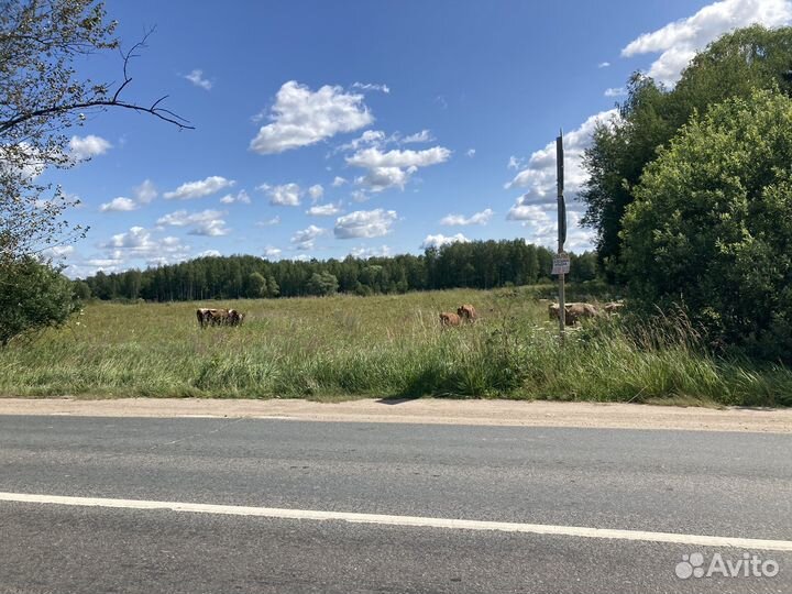 Продается ферма