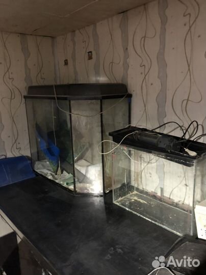 Аквариум