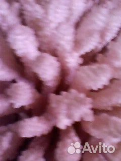 Коралл океанический натуральный