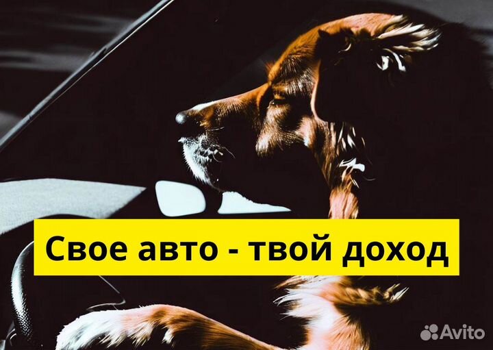 Подключайся к Яндекс Go