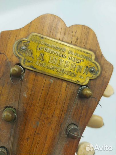 Мандолина 1900-е Италия Catania anno 1908-09