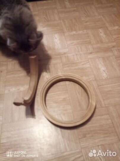 Дверной или стеновой лаз для кота