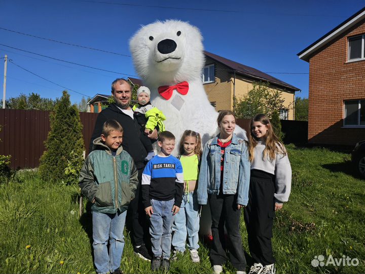 Белый Медведь поздравление. Мишка на праздник