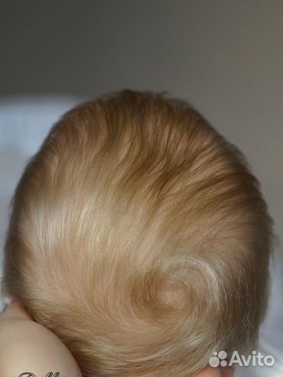 Реборн Пикли