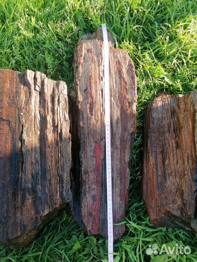 Окаменелое дерево натуральное