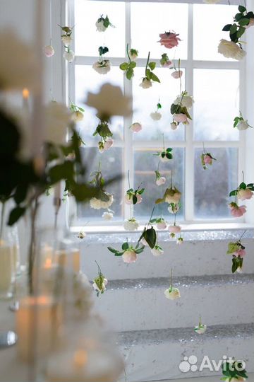 Аренда фотостудии Зазеркалье