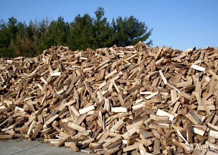 Дрова сегодня