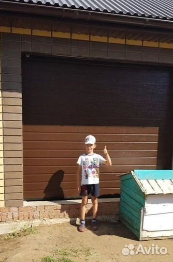 Ворота гаражные