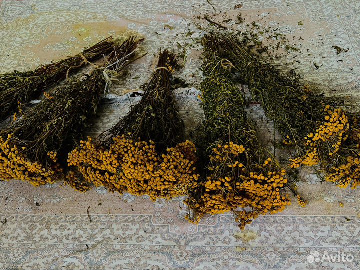 Лекарственные травы