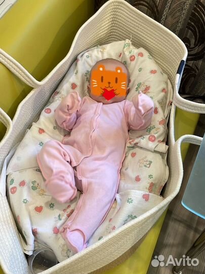 Кокон Зевушка с корзиной для новорожденных