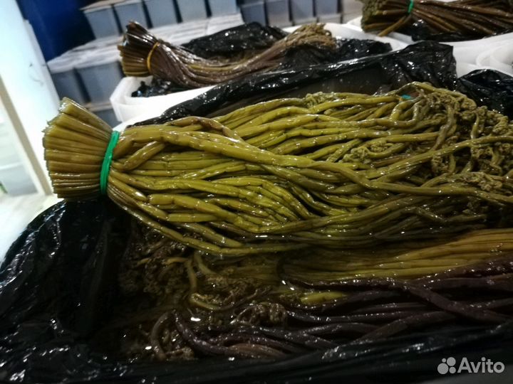 Папоротник орляк вакуумная упаковка