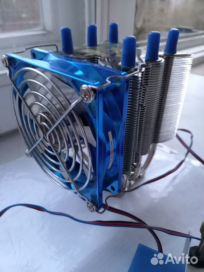 Titan Vanessa S-type