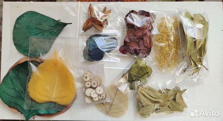 Набор для творчества. Сухоцветы. Для коллажа