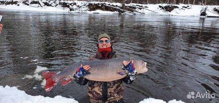 Рыбалка в Хабаровском крае, рыболовные туры