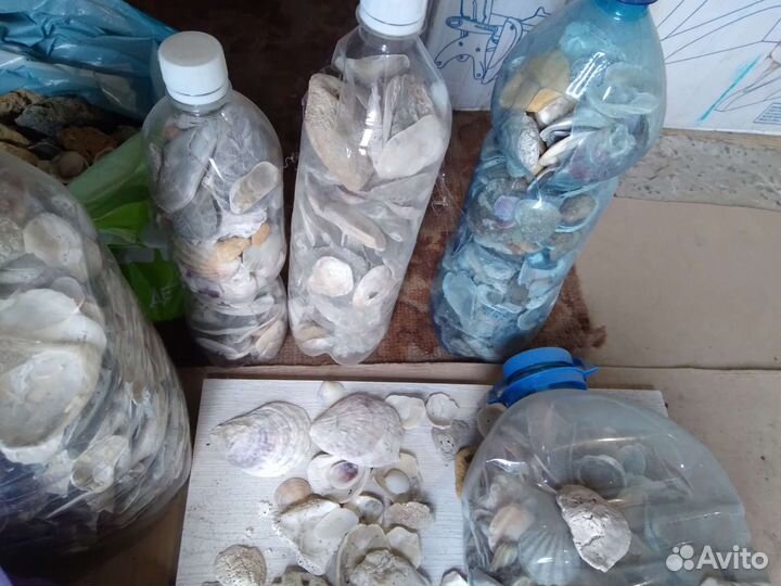 Ракушки и камни с Крыма