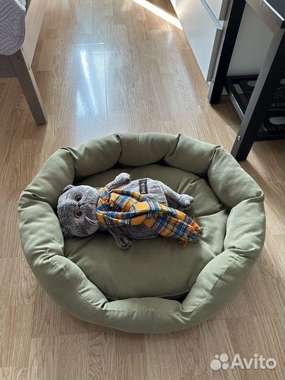 Лежанка для маленьких собак/ кошек 