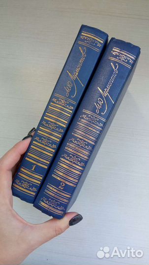 Лермонтов, стихотворения и поэмы, 2 тома