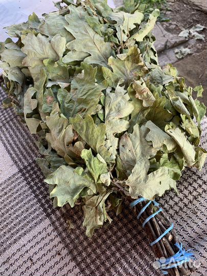 Дубовые веники для бани оптом