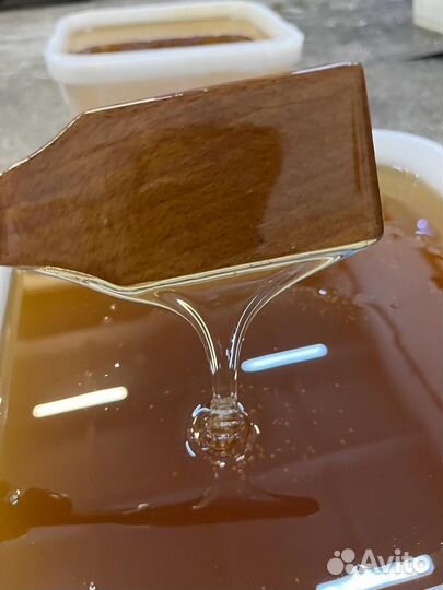 Мед майский оптом