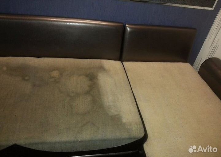 Аренда моющего пылесоса karcher puzzi 8 1c